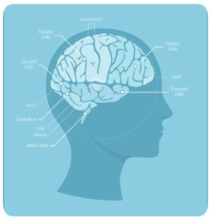 Myers-Briggs Personality Test