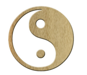 Video – Concept of Yin and Yang